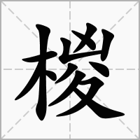 椶的笔顺写法