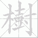 樹的笔顺写法