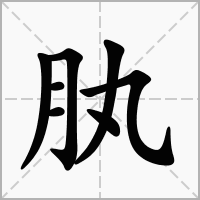 肒的笔顺写法