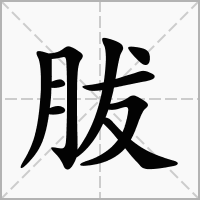 胈的笔顺写法