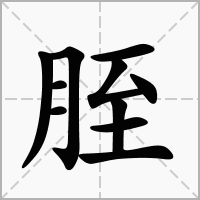 胵的笔顺写法