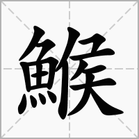 鯸的笔顺写法